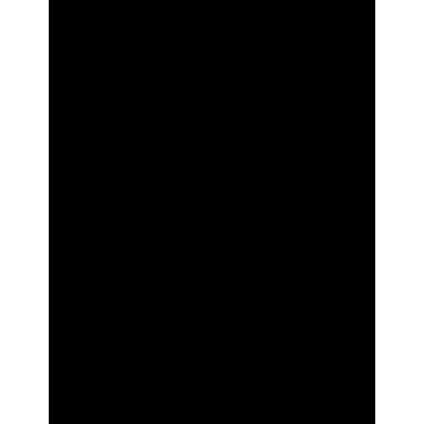 L'Oréal Paris - Infaillible Grip 24H Matte Liquid Liner 01 Black