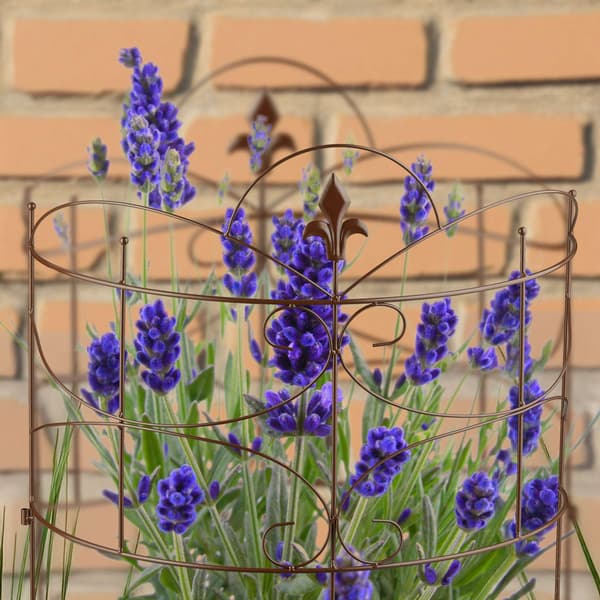 Plantestøttepæle, 2-delt jern Fleur-de-Lis design