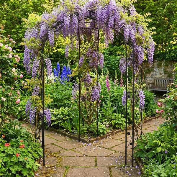 Metalrosebue, sort haveespalier med bladmotiv