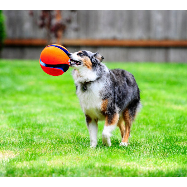 Chuckit Kick Fetch S 14 cm
