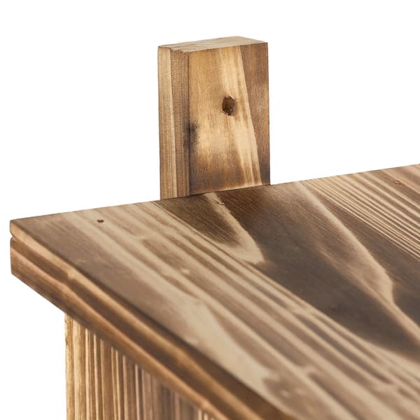 Nestbox Half Cavity Opdrætter Flammig