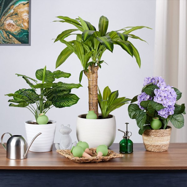 Lera tips bevattning set om 6