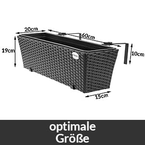 Polyrattan vindueskasser sæt, 60x20x19cm, sort, 2 stk.