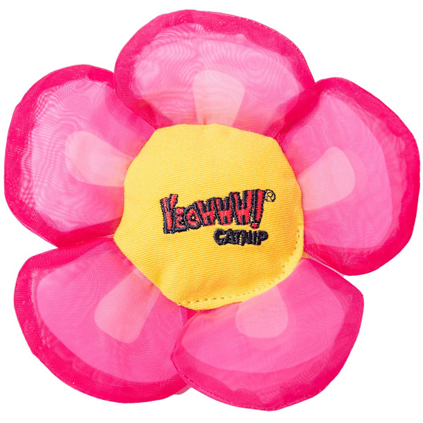 Yeowww Daisey's Flower Top Rosa
