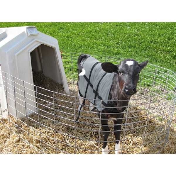 Bodyguard Calf Summer filt