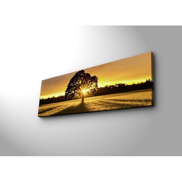 Dekorativ LED-belyst canvasmålning 3090DACT-68