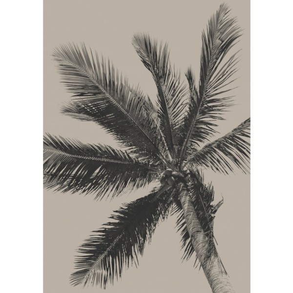 Palm Tree - 21x30 cm