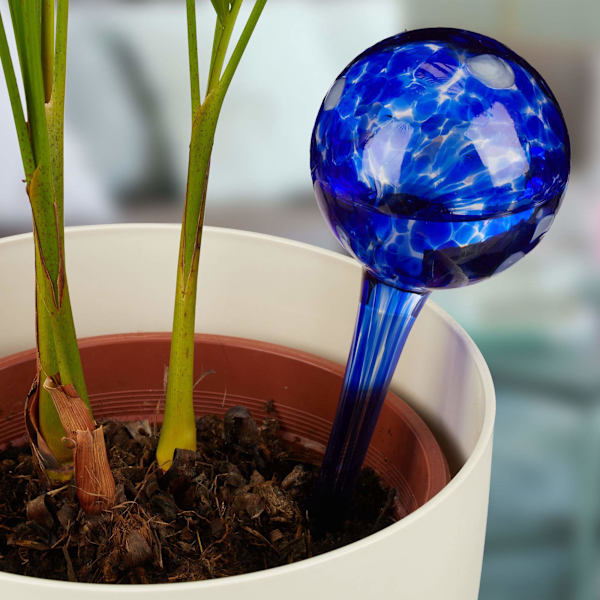 Vattenboll Set med 2 glas