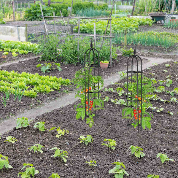 Trellis 100 cm, sæt med 2 stk