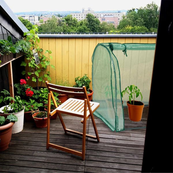 Folierat växthus med dörr