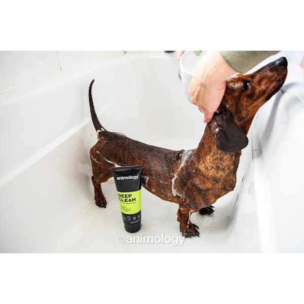 Animology Deep Clean shampoo