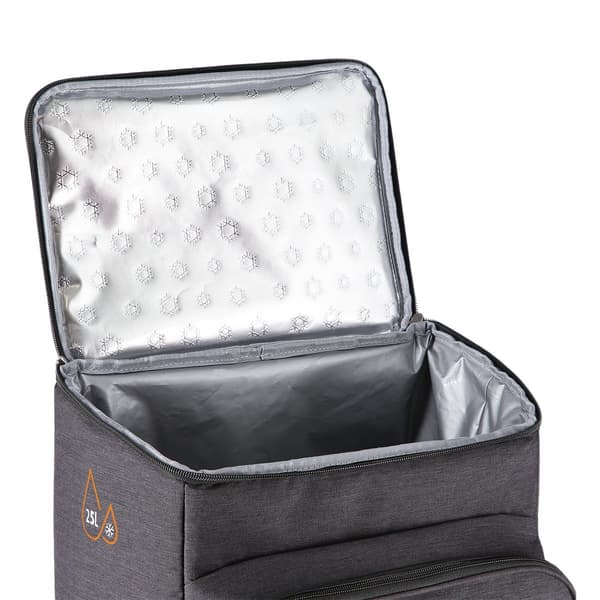Kølerygsæk, sort, 25L, isoleret