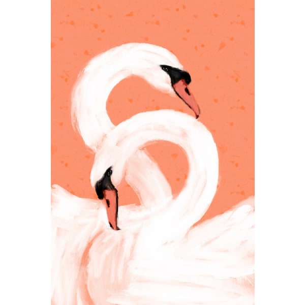Swans - 50x70 cm