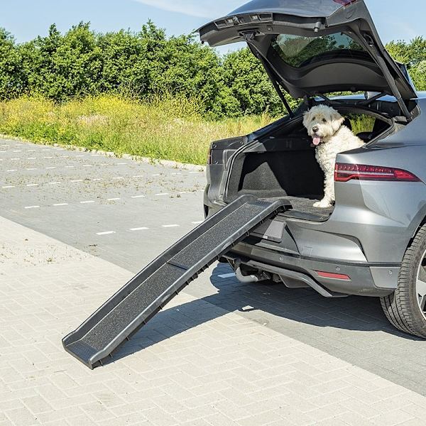 Hundbilsramp
