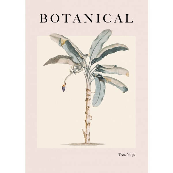 Botanical Palm - 70x100 cm