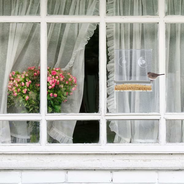 Bird Feeder for Windows