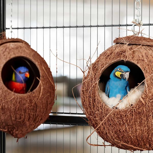 Birdhouse kokos set om 2