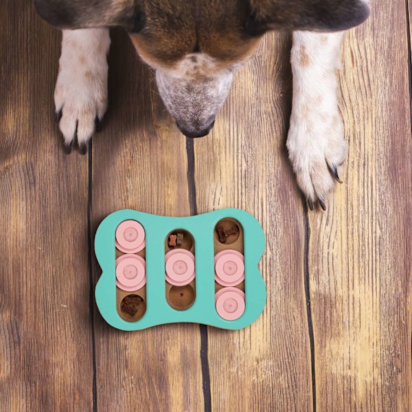 Intelligent legetøj til hunde