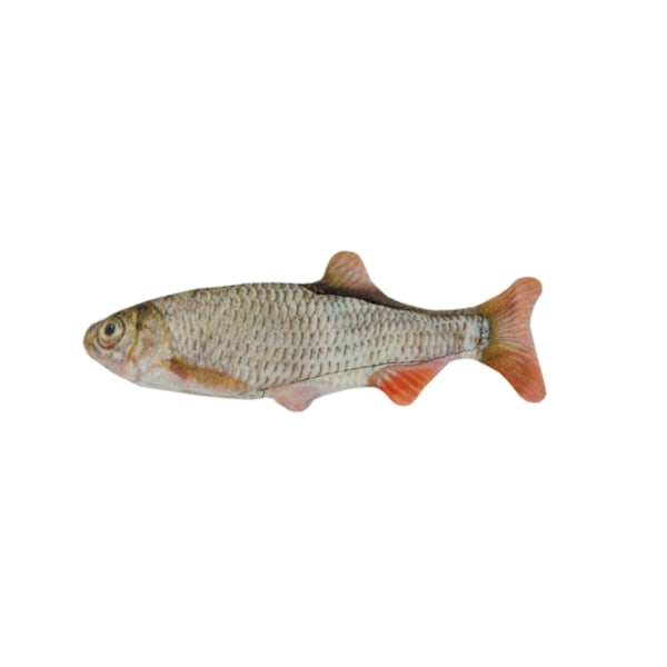 Wild Life Cat Roach