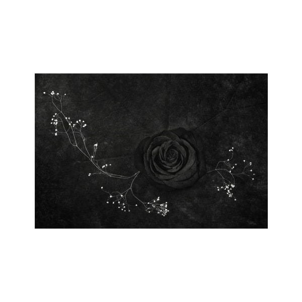 Rose Noire - 50x70 cm