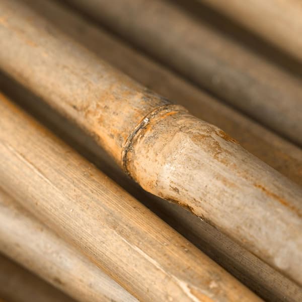 Bambu käppar 105 cm