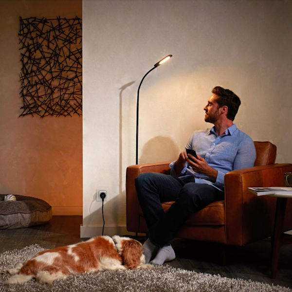 Hue Smart stik