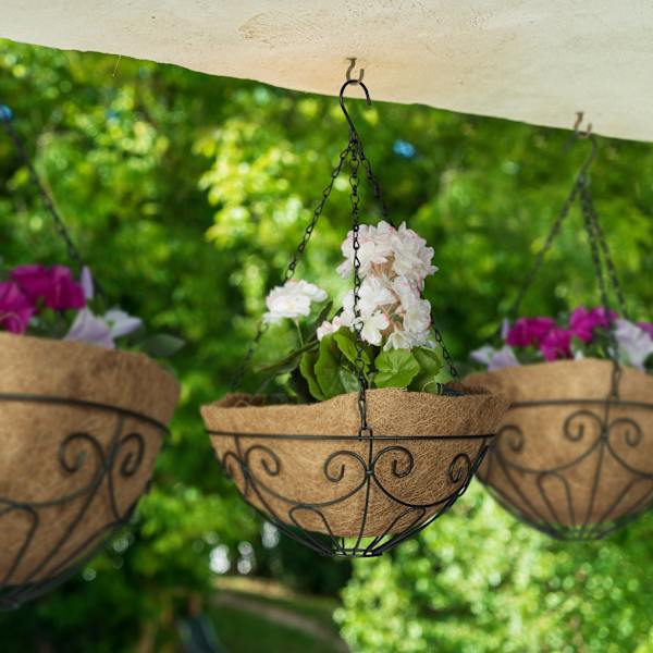 Grapevine Uppsättning om 3 Kokosnöt