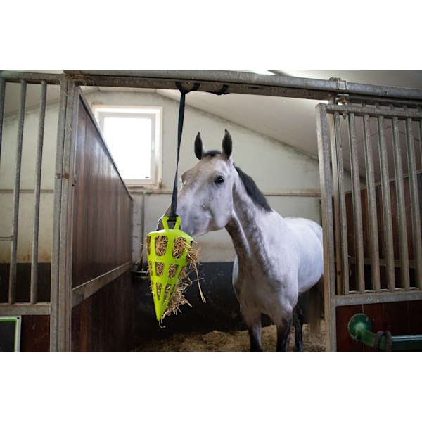 Hay Slowfeeder fun and flex 22 cm Grön morot