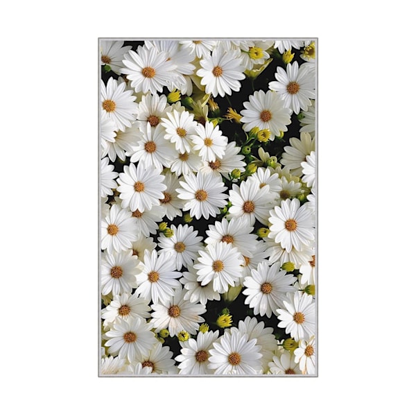 Hallin matto (100 x 150) HMNT521