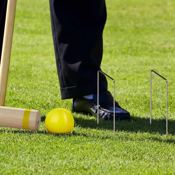 20x kroket wickets
