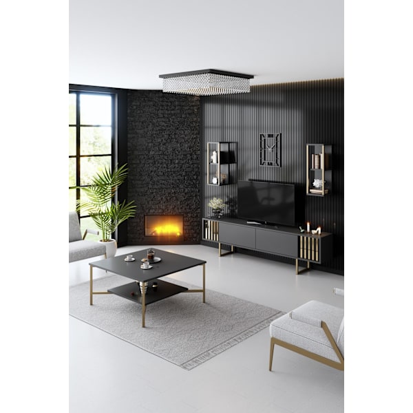 TV Unit Gold Line - antracit, sort