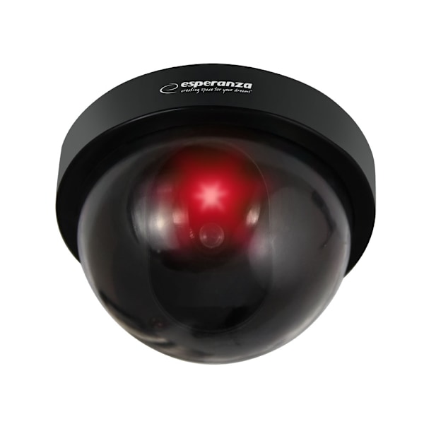 Esperanza Dummy Monitoring Camera Ghost
