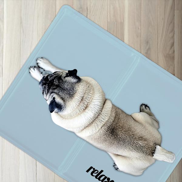 Kølemåtte til hunde