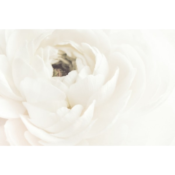 White Flower 02 - 21x30 cm