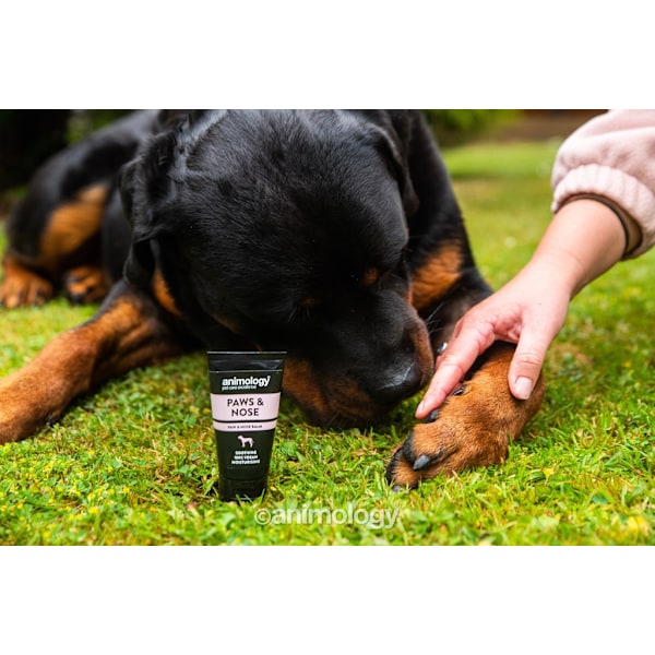 Animologi Paws &amp; Näsbalsam 50ml
