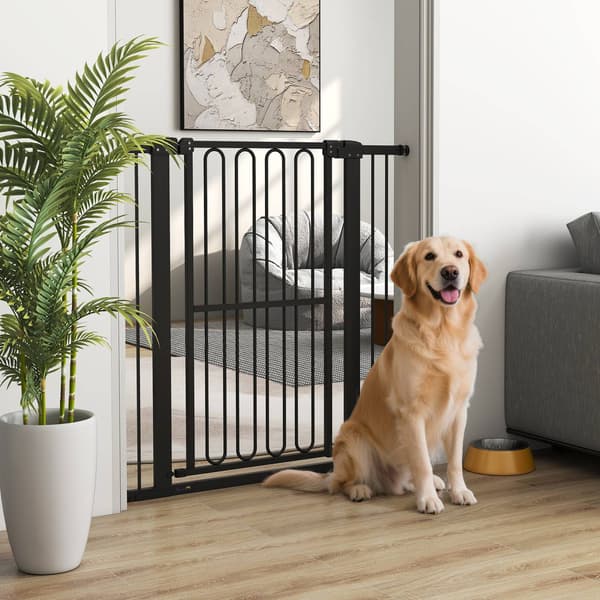 Hundgrind, 76-104 cm trappgrind utan borrning