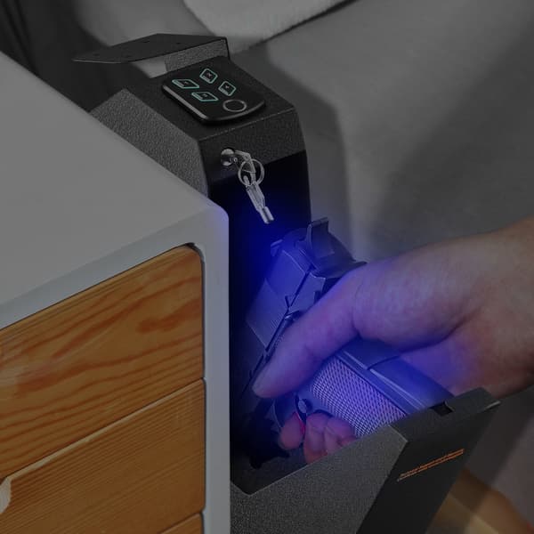 Biometriskt pistolskåp, monterbart, 3 åtkomstplatser, 1 pistol