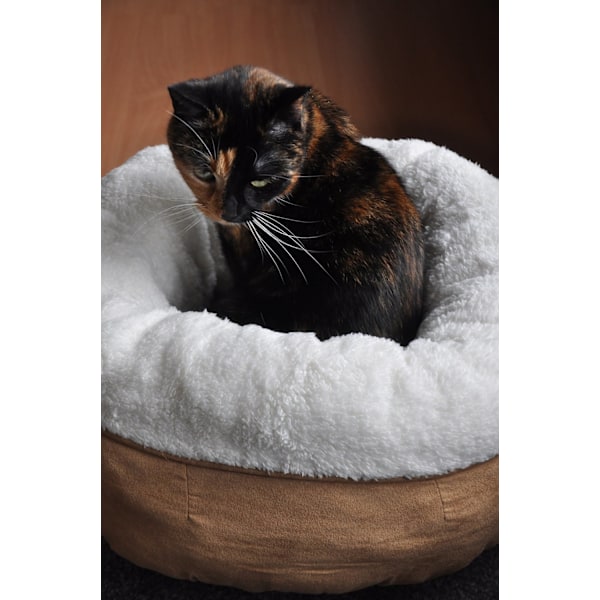 AFP Lammeuld Donut Bed TAN