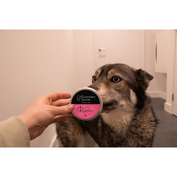 Groomers Secret Shampoo Bar Rose