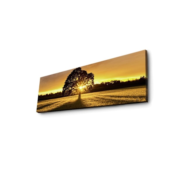Dekorativ LED-belyst canvasmålning 3090DACT-68