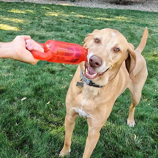 KONG JumbleTug Assorted Md/Lg