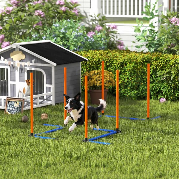 Agility-sæt til hunde, bærbart med justerbare slalomstave