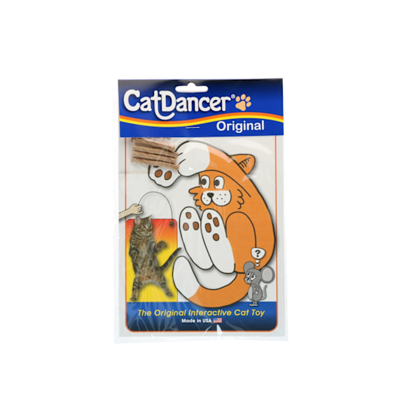 Kattedanser