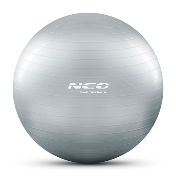 Træningsbold 65 cm NS-951 Sølv
