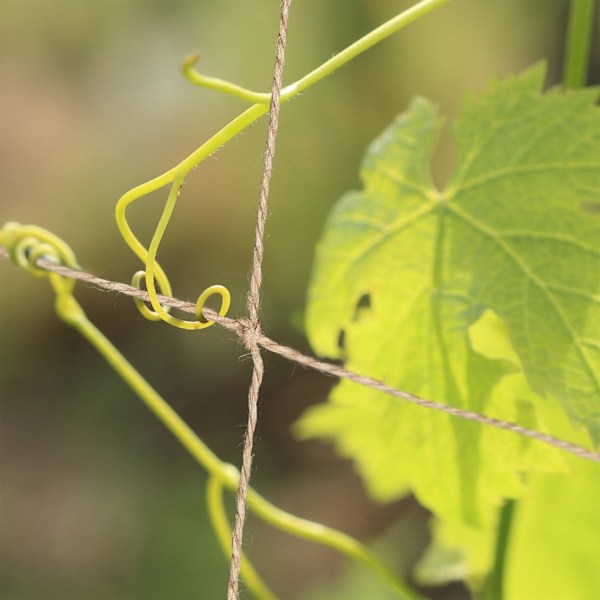 Trellis net jute