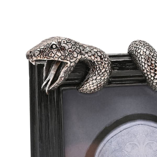 Harry Potter Nagini -valokuvakehys
