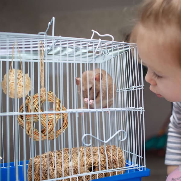 Hamsterin tarvikesetti 5 kpl.