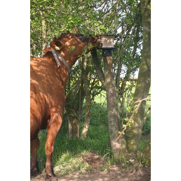 Lickblock-teline KS-tankoon 10 kg
