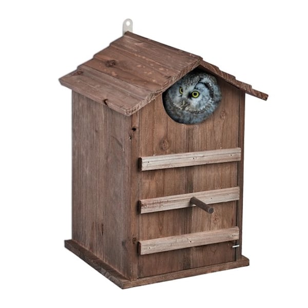 Owls Nest Box Wood