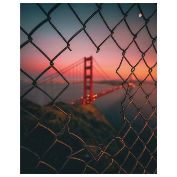 Golden Gate Caged - 50x70 cm